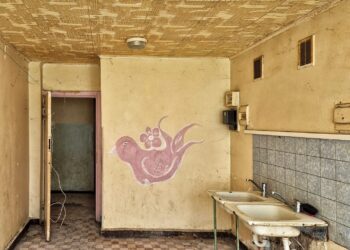 Apleisti socialiniai bendrabučiai Lazdynuose prikelti naujam gyvenimui