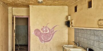 Apleisti socialiniai bendrabučiai Lazdynuose prikelti naujam gyvenimui