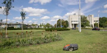 Vilniuje prasideda šienavimo sezonas. Sausros metu pievų nepjaus