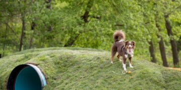 Vingio parke šunų laukia atnaujinta ir išplėsta aikštelė