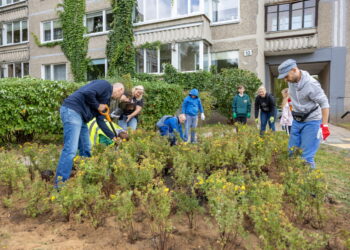 Krūmų sodinimo talkos Šeškinėje ir Fabijoniškėse – pasodins net 10 tūkst. krūmų