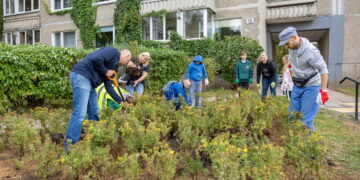 Krūmų sodinimo talkos Šeškinėje ir Fabijoniškėse – pasodins net 10 tūkst. krūmų