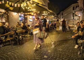 Dar 17 Vilniaus barų ar klubų tapo dainyklomis