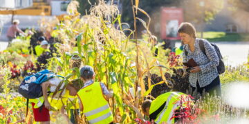 Aplinkosauginio švietimui Vilnius skiria 70 tūkst. eurų