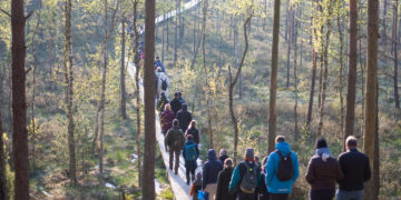 Šventė gamtos širdyje: festivalis „Vidur girių“ skiriamas Čepkelių rezervato 50-mečiui