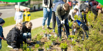 Jau rytoj Vilniuje miško sodinimo talka: bus pasodinta apie 1400 medžių