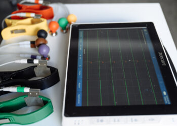 Šį savaitgalį Avižieniuose nemokamai ženklins augintinius