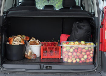 Vilniaus verslininkams bus leidžiama prekiauti iš automobilio