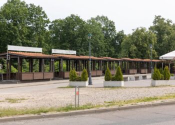 Viena Fabijoniškių gatvių keisis neatpažįstamai: šaukiama sodinimo talka