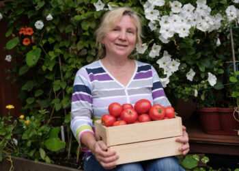 Šiltnamio paslaptys: kaip sulaukti derliaus, kurio pavydės kaimynai