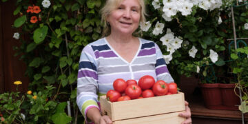 Šiltnamio paslaptys: kaip sulaukti derliaus, kurio pavydės kaimynai