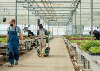 Lietuvą renkasi vis daugiau sezoninių darbuotojų iš trečiųjų šalių