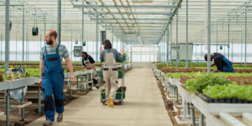 Lietuvą renkasi vis daugiau sezoninių darbuotojų iš trečiųjų šalių