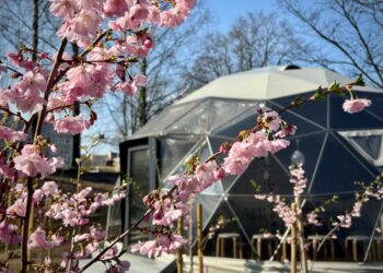 Lauko klases įsirengia jau ne tik sostinės mokyklos, bet ir darželiai