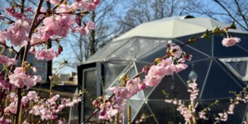 Lauko klases įsirengia jau ne tik sostinės mokyklos, bet ir darželiai