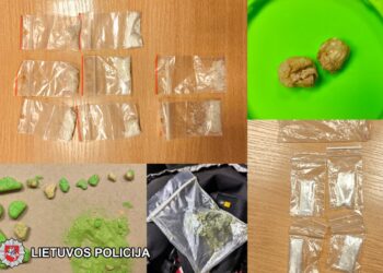 Sostinė pareigūnai elektroninės muzikos festivalyje su narkotikais sulaikė šešis asmenis