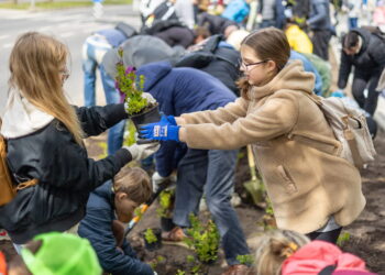 Rekordinė talka Fabijoniškėse – pasodinta apie 2,5 tūkst. krūmų
