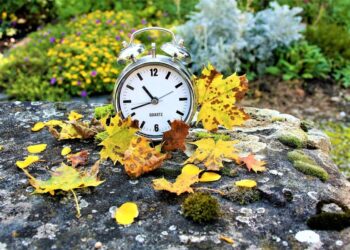 Patvirtintų KPP projektų vykdytojai kviečiami suskubti ir laiku baigti projektus