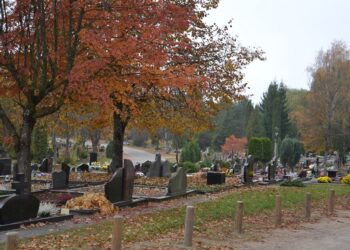 Stichinė nelaimė dėl žievėgraužio tipografo skelbiama ir Vilniaus rajone