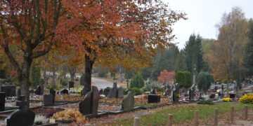 Stichinė nelaimė dėl žievėgraužio tipografo skelbiama ir Vilniaus rajone