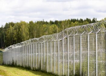 VSAT: Baltarusijos pasienyje apgręžti 4 neteisėti migrantai