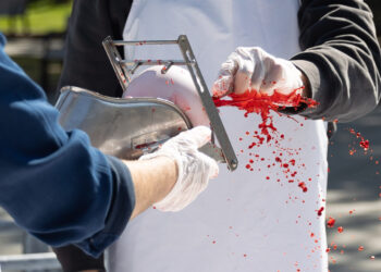 Vilniuje – „Tuščių narvų“ performansas prieš paršelių kastravimą be nuskausminamųjų