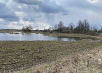 Melioracijos iššūkiai: tūkstančiai pažeidimų kelia potvynių grėsmę ir smogs per kišenę