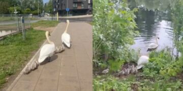 Neįprasta gelbėjimo operacija sostinėje