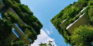 Tvari miestų vertė: kai žaliosios erdvės tampa svarbesnėmis už kvadratinį metrą betono