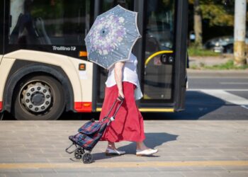 Siūloma su verslo liudijimu dirbančius pensininkus atleisti nuo PSD įmokų