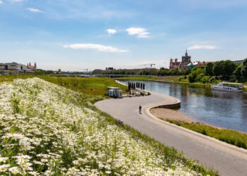 Vilniečiai už pievas: apklausa rodo augantį palaikymą tvariam šienavimui