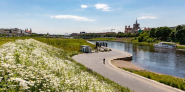 Vilniečiai už pievas: apklausa rodo augantį palaikymą tvariam šienavimui