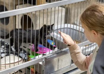 Vilnius kviečia dalintis – parengta atmintinė „Kur dėti nenaudojamus daiktus?“