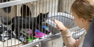 Vilnius kviečia dalintis – parengta atmintinė „Kur dėti nenaudojamus daiktus?“