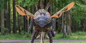 Žaliosios sostinės bitė tęsia kelionę – šią vasarą ją galima aplankyti Vingio parke