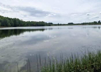 Vandens tarša padidėjusi dvejose Vilniaus rajono maudyklose. Maudytis nerekomenduojama