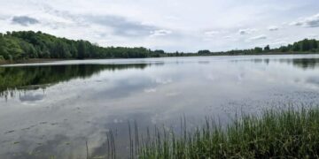 Vandens tarša padidėjusi dvejose Vilniaus rajono maudyklose. Maudytis nerekomenduojama