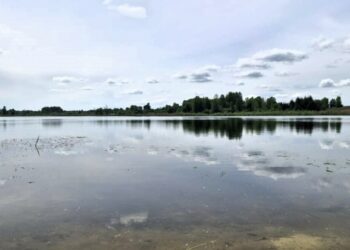 Atlikti pakartotiniai Prūdiškių tvenkinio ir Aliejūnų ežero vandens tyrimai: taršos nenustatyta