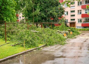 Dėl stipraus lietaus ugniagesiams teko 16 kartų vykti šalinti nuvirtusių medžių