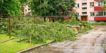 Dėl stipraus lietaus ugniagesiams teko 16 kartų vykti šalinti nuvirtusių medžių