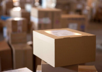 Du broliai iš Vilniaus pašto siuntomis atsigabeno beveik 9 kilogramus kanapių