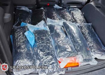 Sostinės kriminalistų laimikis – 20 kg kanapių (video)