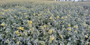 Šalnų padariniai Šalčininkų rajone