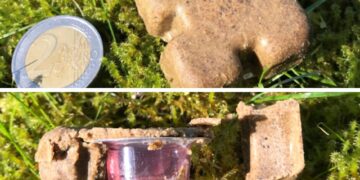 Rytų–pietų Lietuvoje iš oro mėtomos pasiutligės vakcinos