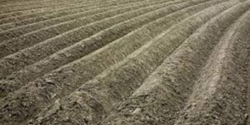 Strateginio plano įgyvendinimas: Stebėsenos komitetas siūlo pakeitimus