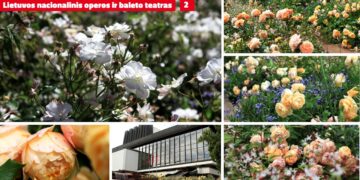 Trys Baltijos sostinės varžosi dėl gražiausio gėlyno