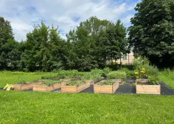 Trakų Vokės dvaro darže – ir vaikų stovyklos