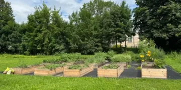 Trakų Vokės dvaro darže – ir vaikų stovyklos