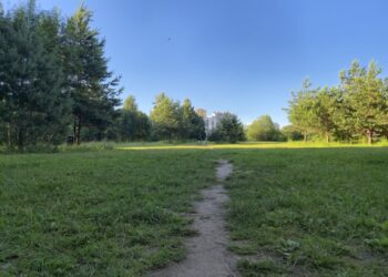 Ruošiamasi skelbti Pavilnionių parko projektavimo konkursą, gyventojai kviečiami į kūrybines dirbtuves