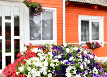 Renkamos gražiausios šių metų Šalčininkų rajono sodybos